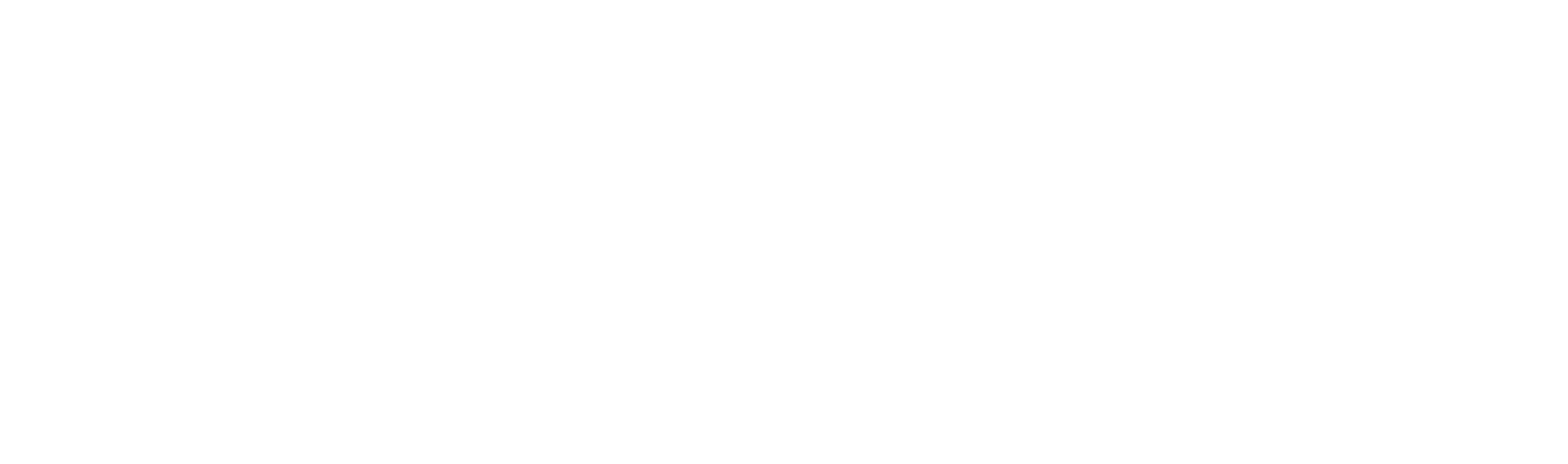 Connect Humanity Logo