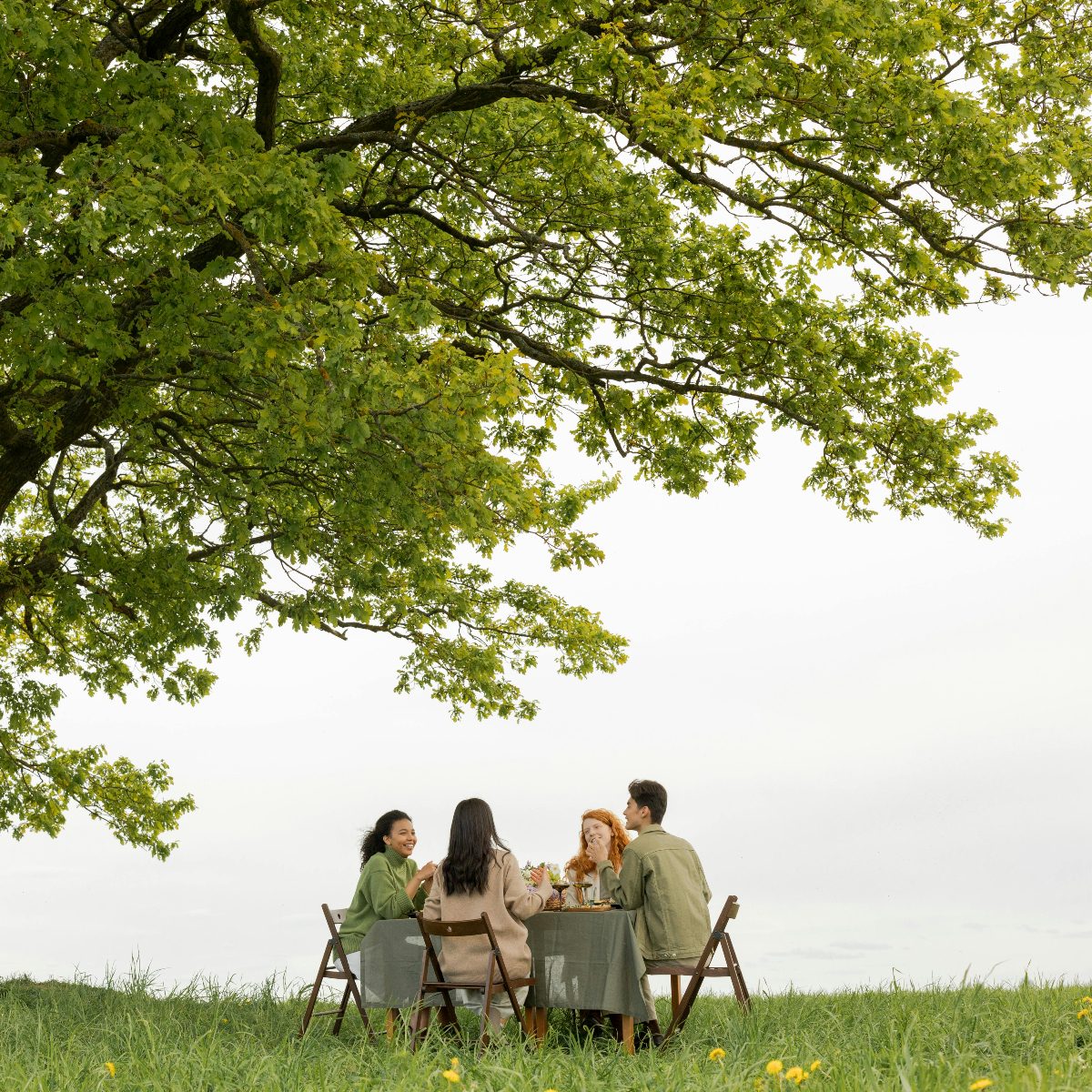 Group of young people sit round a table under a tree